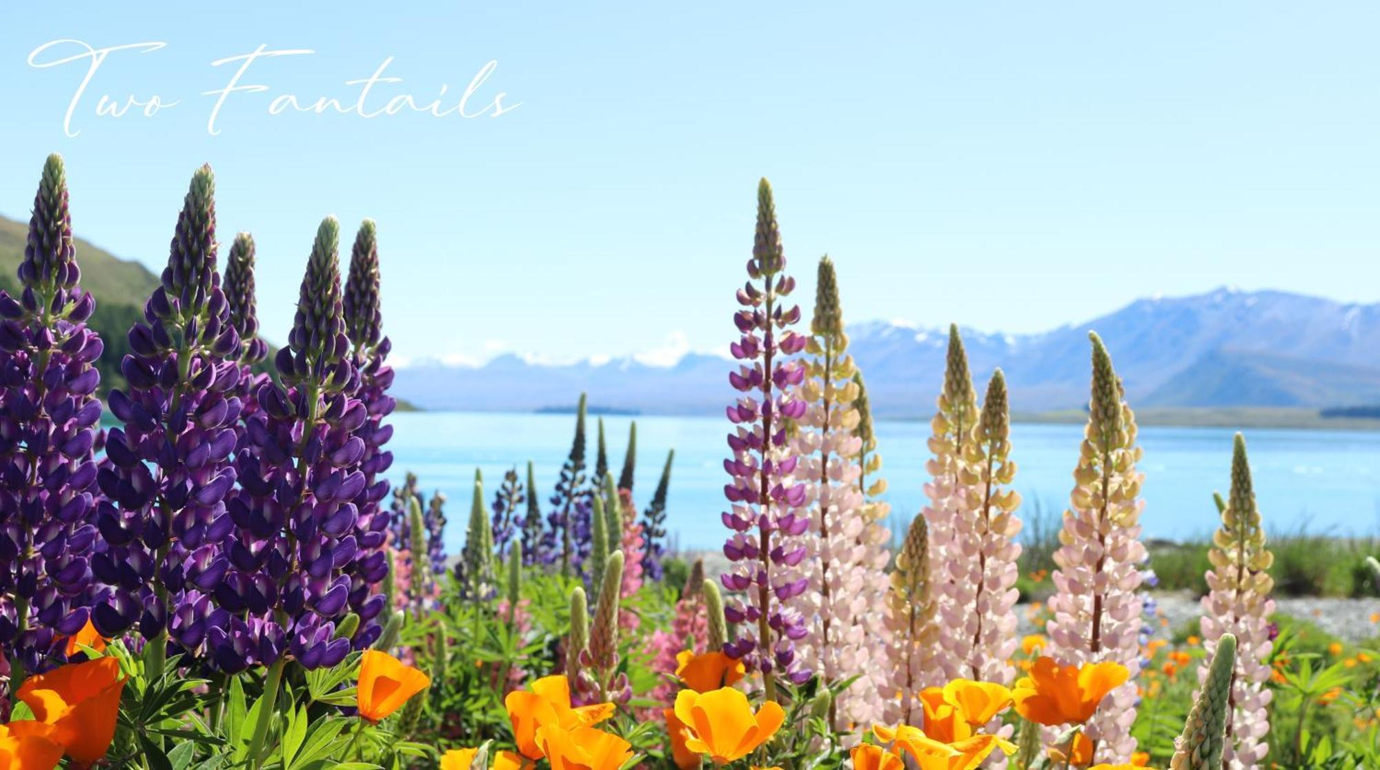 Vila Two Fantails - Mountain Views Lake Tekapo Exteriér fotografie